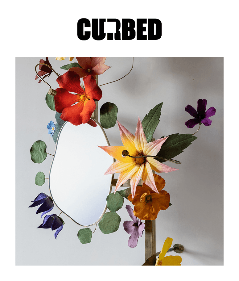 Curbed logo with an image from the article