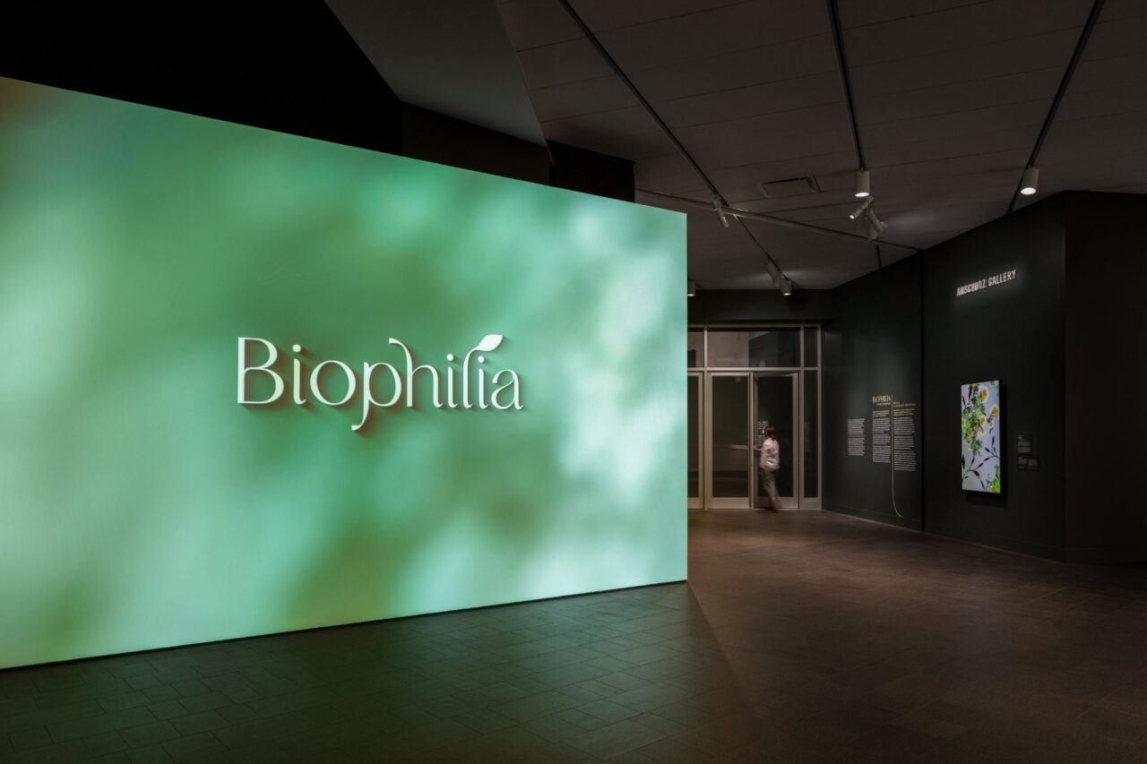 All photos by James Florio, courtesy of the Denver Art Museum