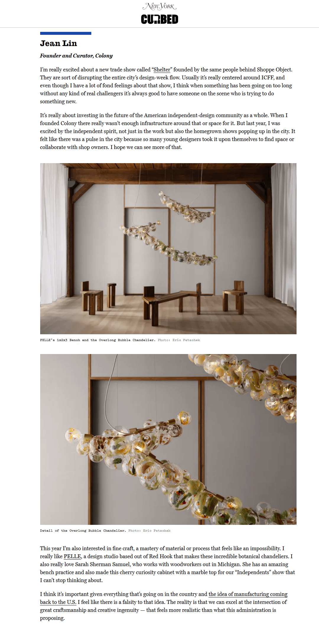 Screenshot of article from Curbed website